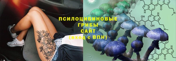 МДПВ Алексин