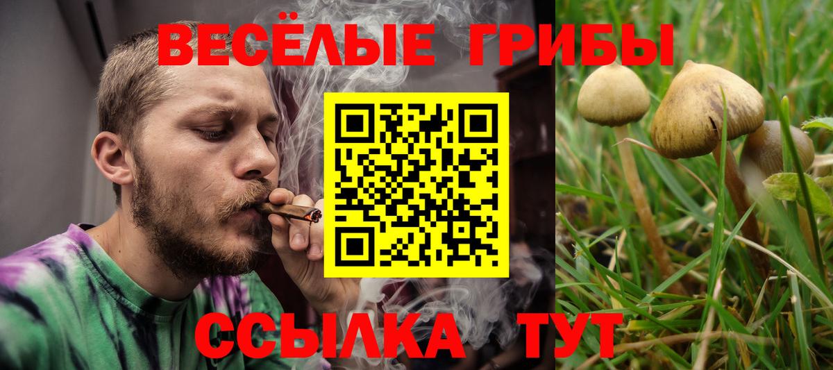Псилоцибиновые грибы GOLDEN TEACHER Россошь