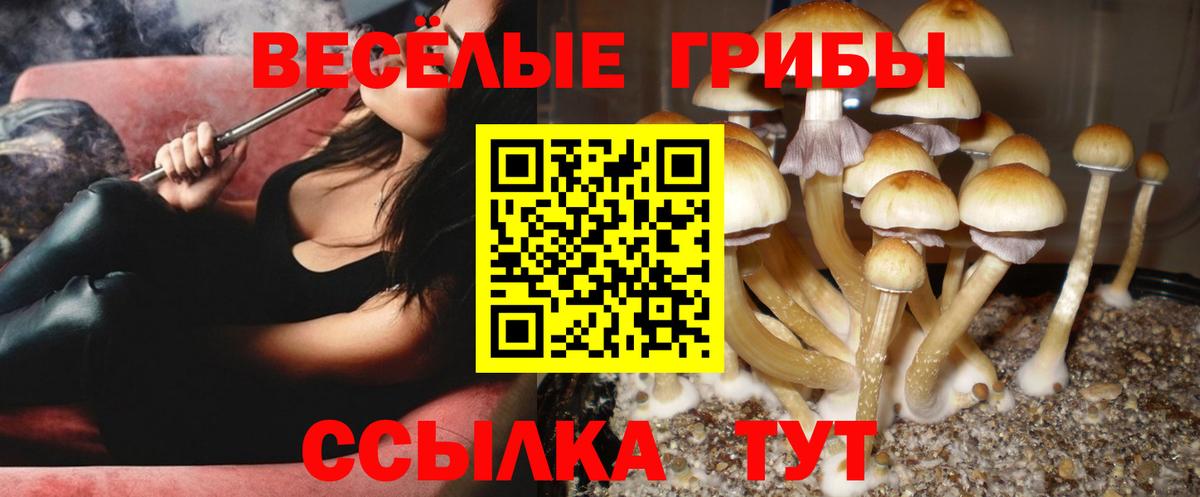 Галлюциногенные грибы Psilocybine cubensis  Галлюциногенные грибы Psilocybine cubensis  Россошь  Вход с VPN 